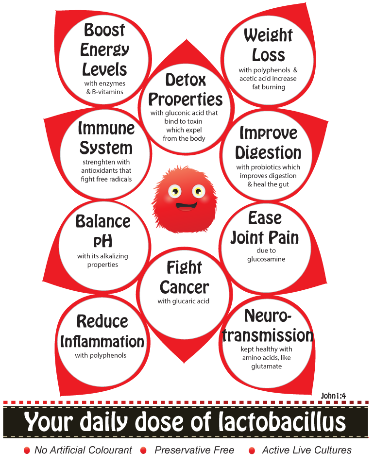 gisevii-kombucha-good-for-you---gutt-healing-properties